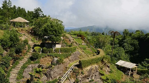 PEYEN DOMINIQUE